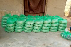 5017020739948841844_121