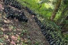 5017020739948841850_121