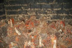 5017020739948841871_121