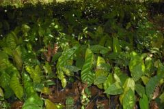 5017020739948841883_121