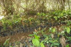 5017020739948841884_121