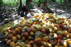 5017020739948841885_121