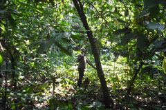 5017020739948841886_121