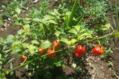 5017020739948841888_121