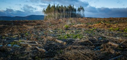 Climate Change & Sustainable Development: The Future We Can Build Together