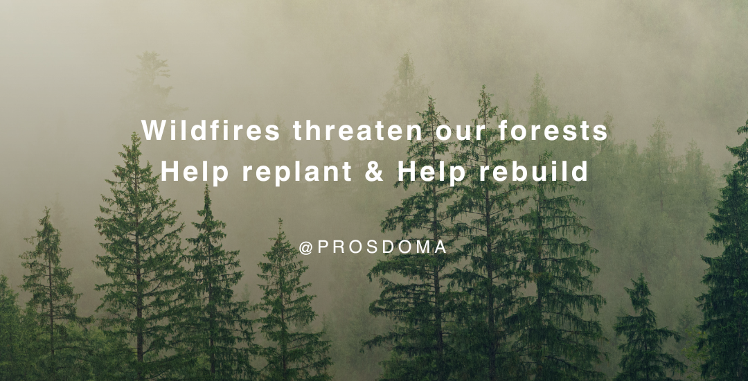 wild fires