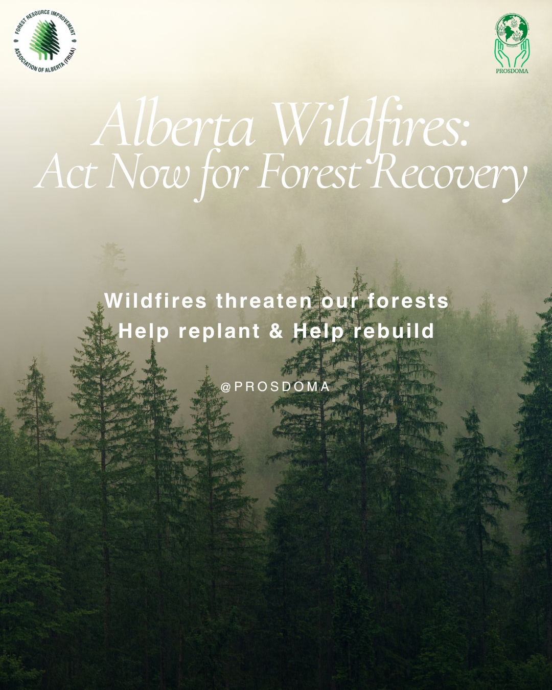 Wildfires in Alberta