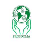 Stärkung der kamerunischen Bauern durch nachhaltige Landwirtschaft mit PROSDOMA