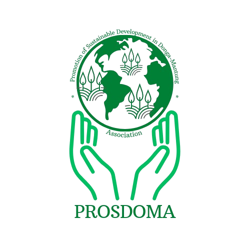 Empowering Cameroon’s Farmers Through Sustainable Agriculture with PROSDOMA