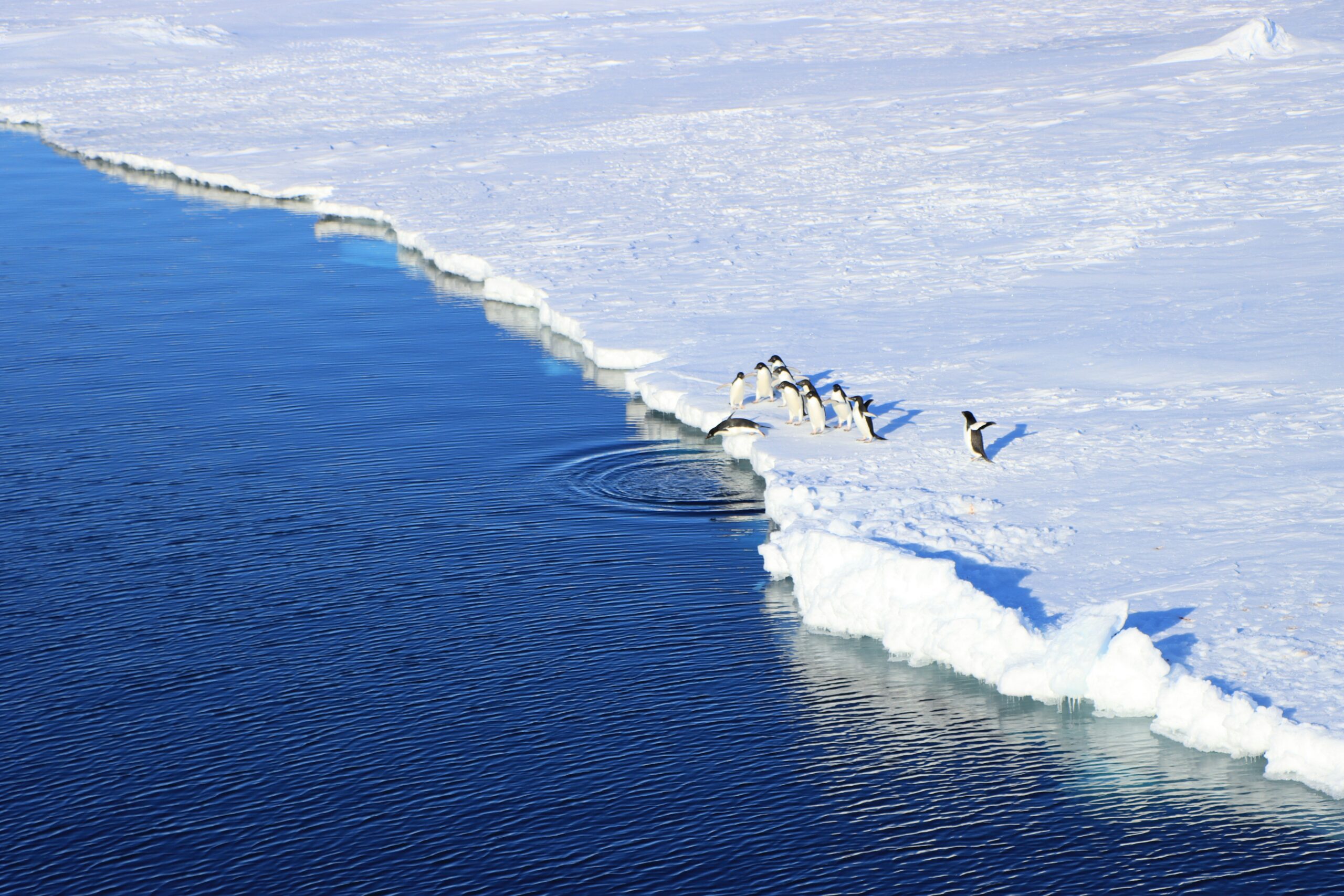 Climate Change & Migration: The Urgent Need for Action